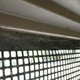 Una ventana abierta en el garaje es el lugar ideal para encontrar telarañas de terídidos